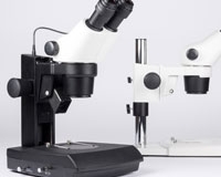 Stereo Microscope