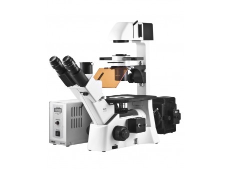 AE31 EF-INV 倒置荧光显微镜